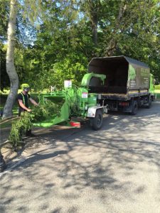 Elite Tree Services | Site Clearance